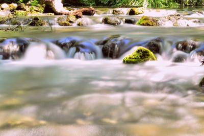 Прикрепленное изображение: _DSC5123.JPG